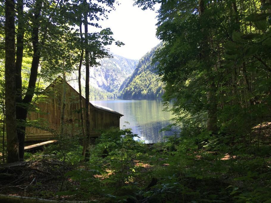 Alpenurlaub II Wohnung Mit Traumausblick Бад-Миттерндорф Экстерьер фото