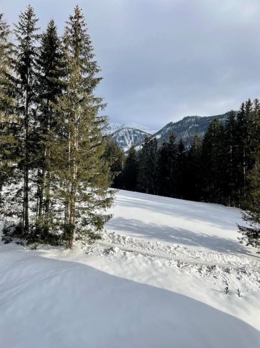 Alpenurlaub II Wohnung Mit Traumausblick Бад-Миттерндорф Экстерьер фото
