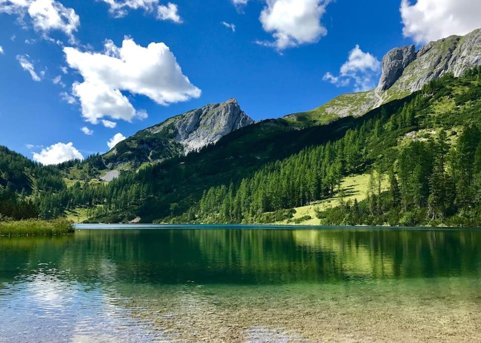 Alpenurlaub II Wohnung Mit Traumausblick Бад-Миттерндорф Экстерьер фото