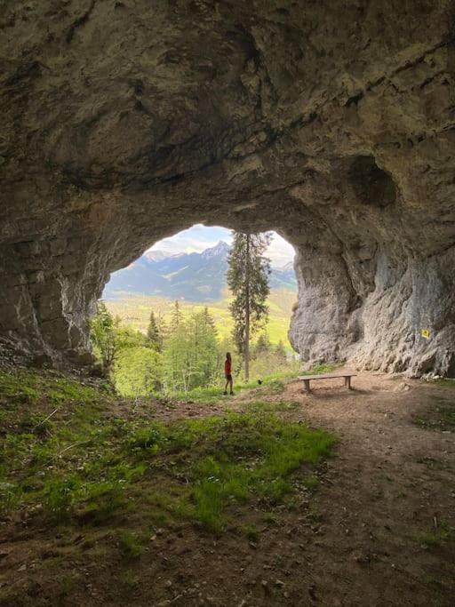 Alpenurlaub II Wohnung Mit Traumausblick Бад-Миттерндорф Экстерьер фото